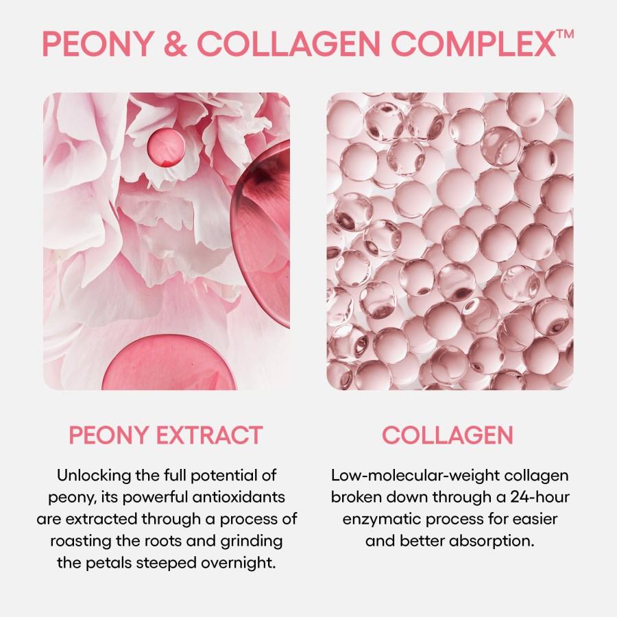 LANEIGE PLUMP & HYDRATE TRIO SET 33G